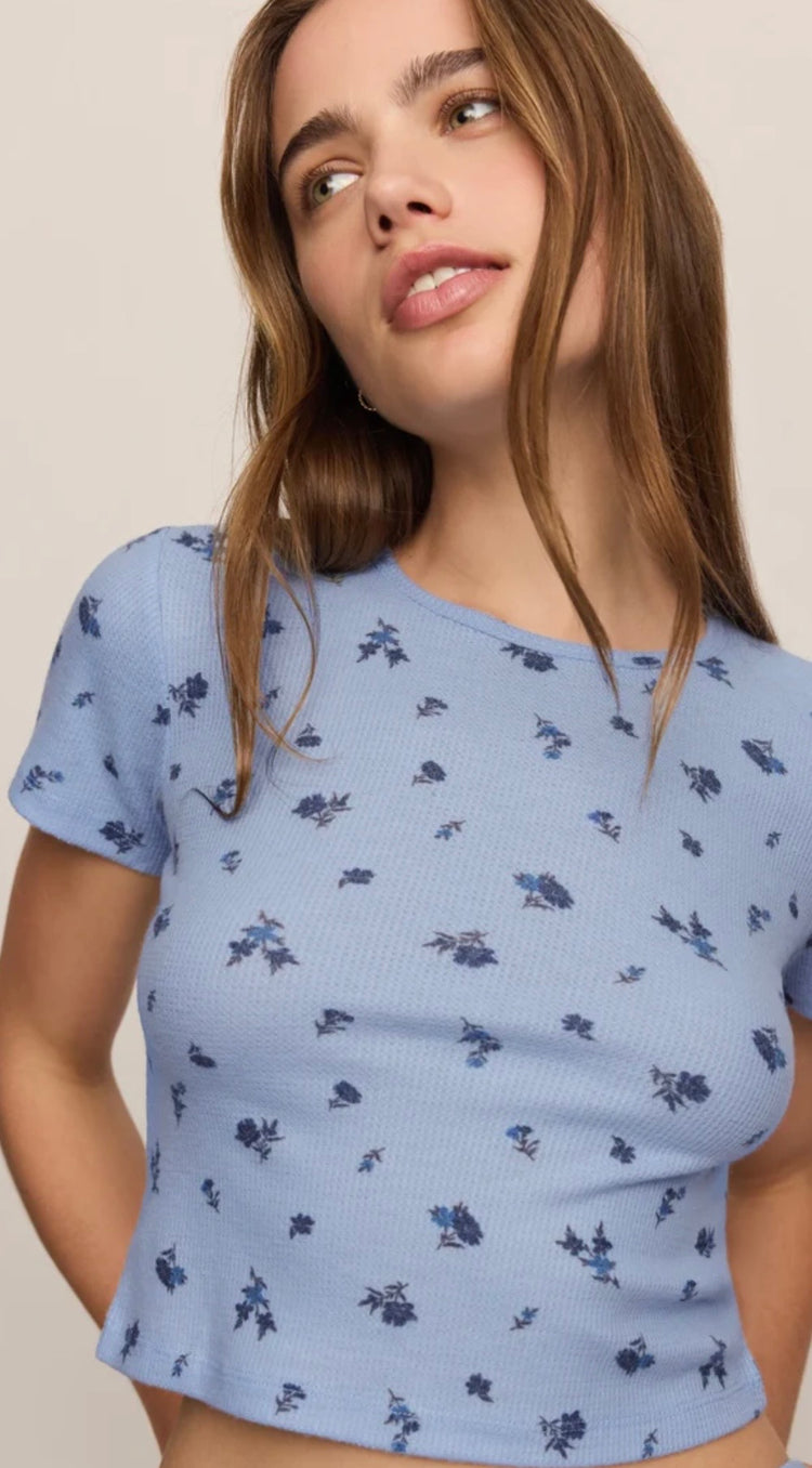 ZLT264950 Ditsy Tee Crystal Blue