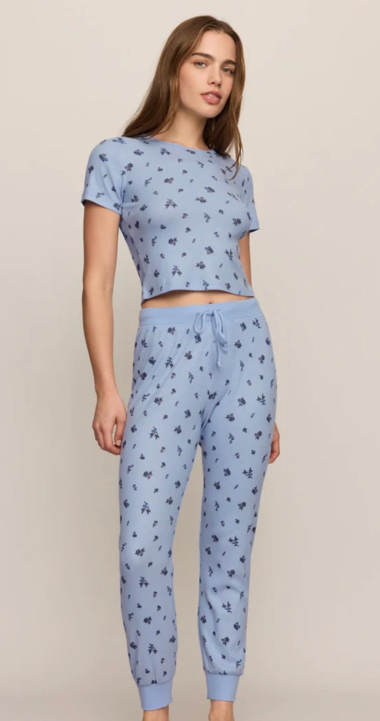 ZLT264950 Ditsy Tee Crystal Blue
