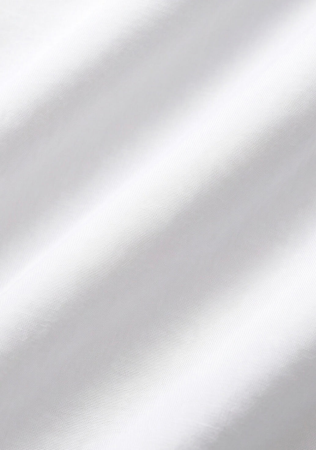 ZT264738 The Galley Button Up