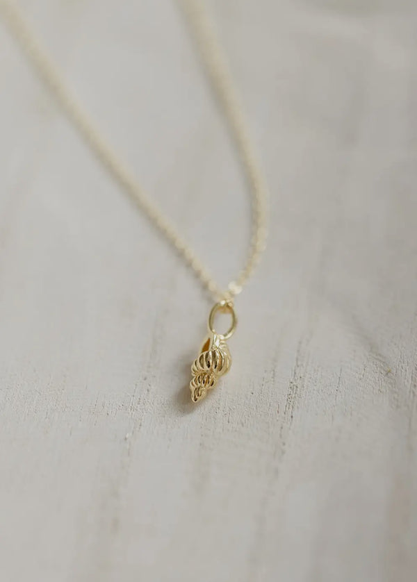 CCN06 Tulip Shell Necklace