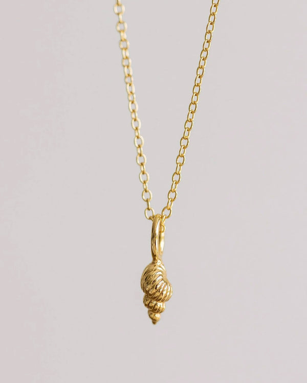 CCN06 Tulip Shell Necklace