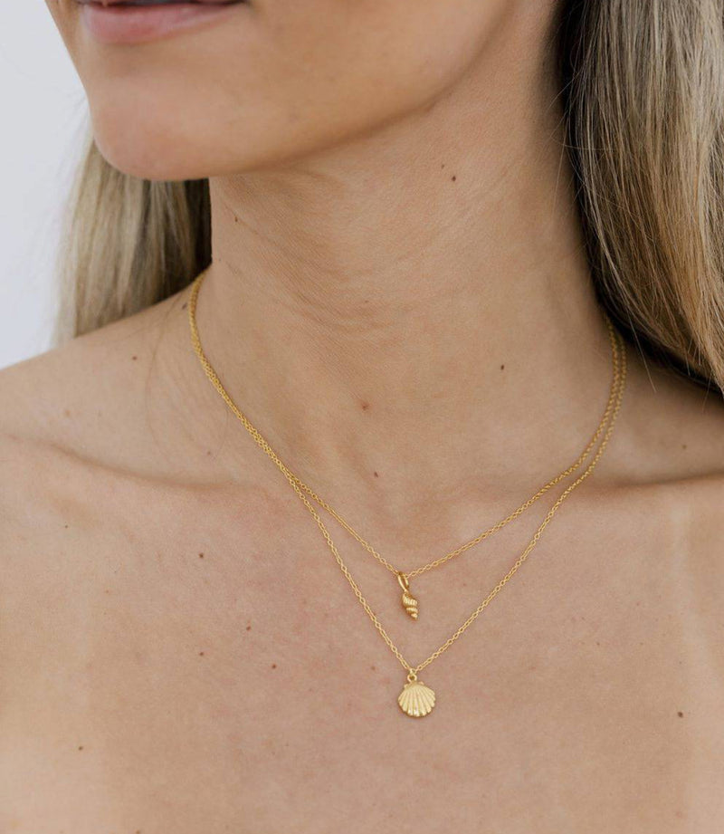 CCN06 Tulip Shell Necklace