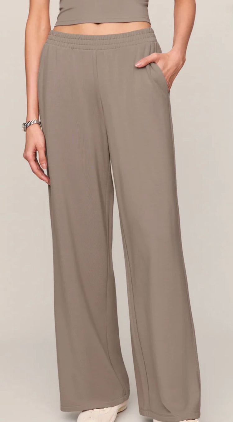 ZP263296 In Transit Pant- Wild Mushroom