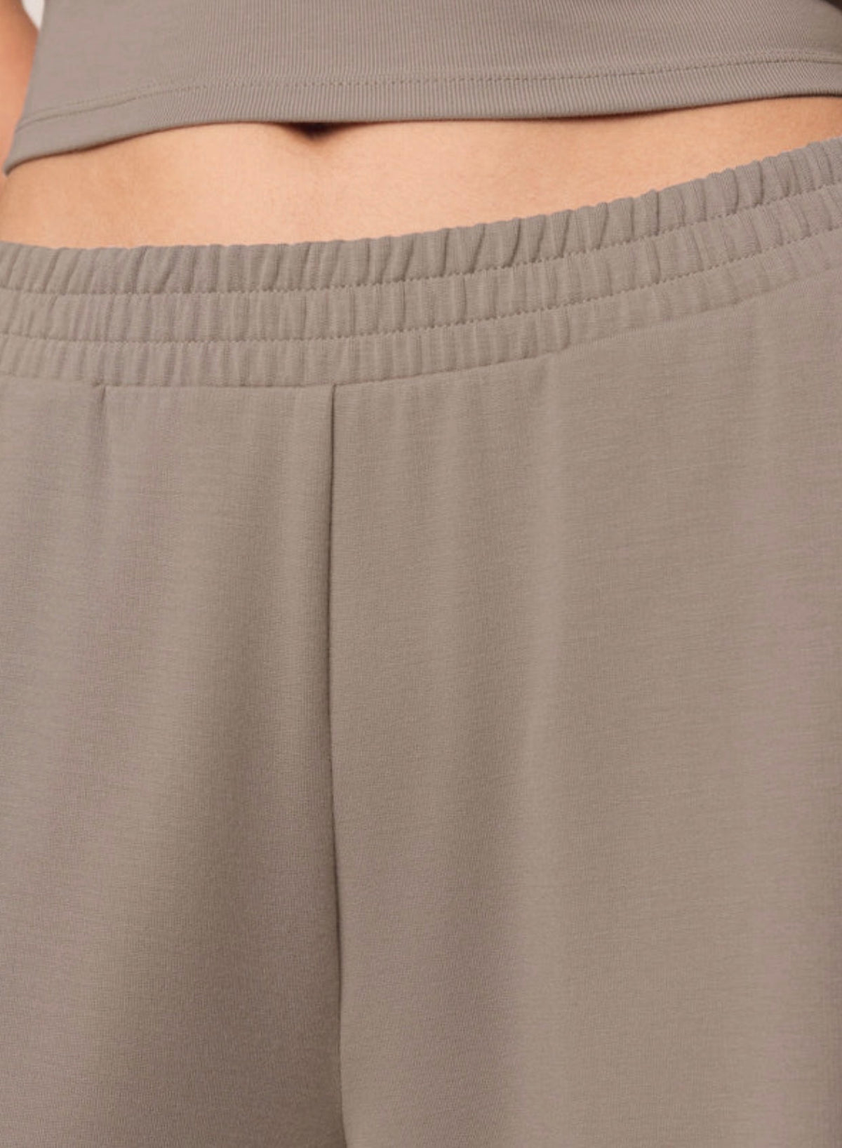 ZP263296 In Transit Pant- Wild Mushroom