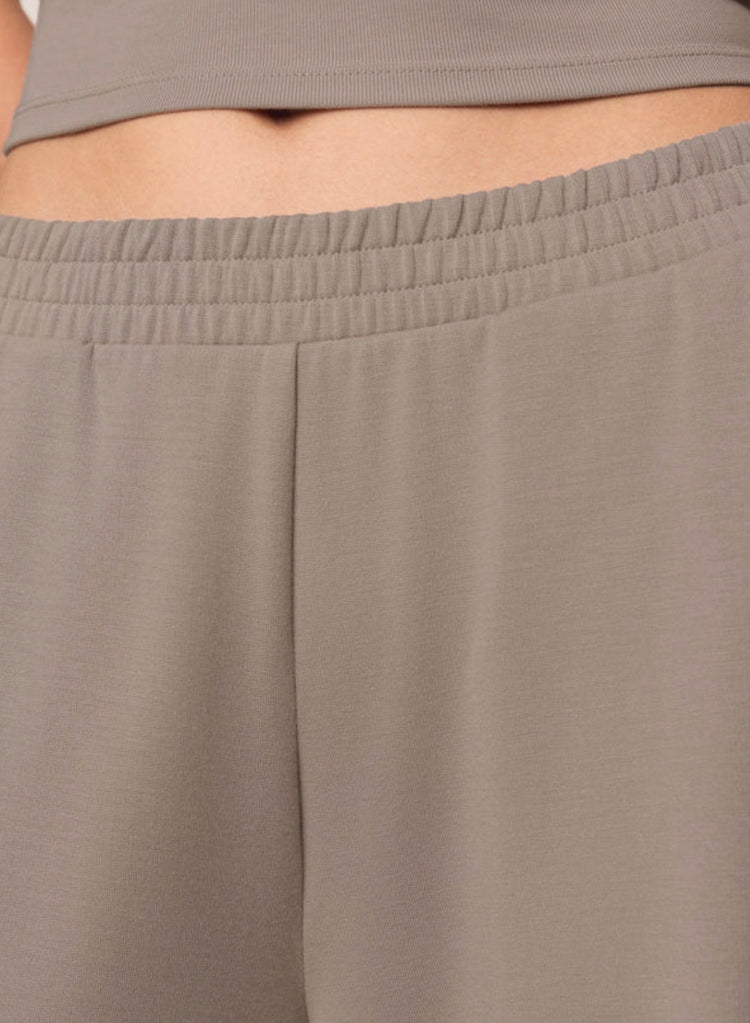 ZP263296 In Transit Pant- Wild Mushroom