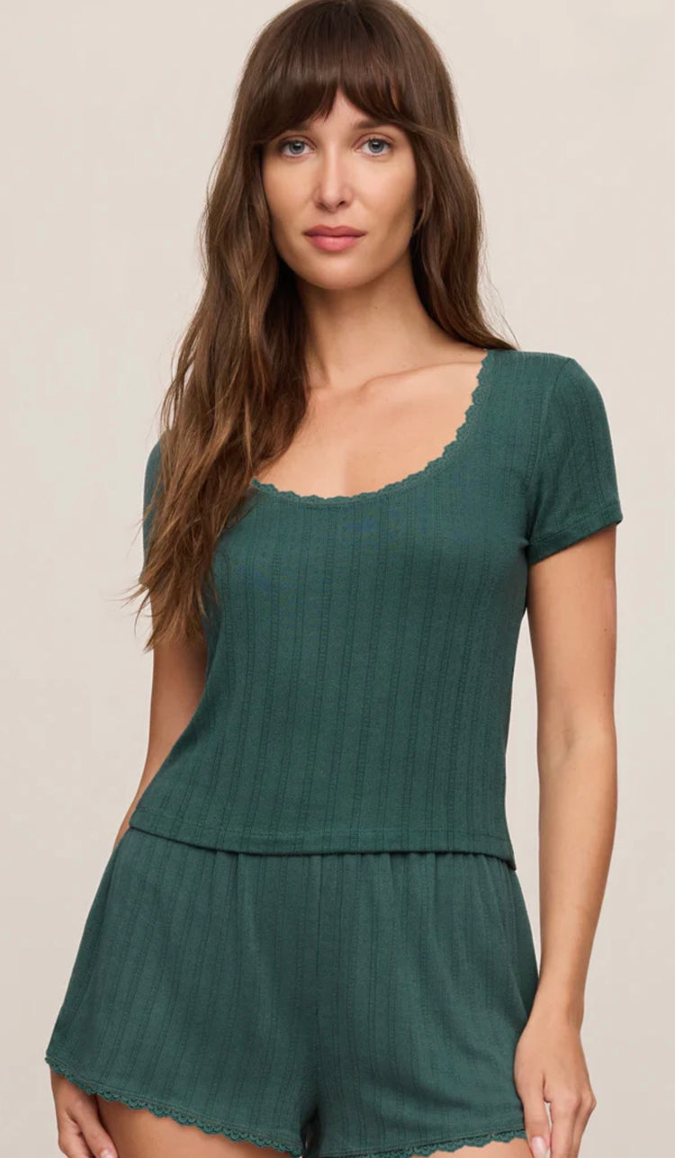 ZLT263500 Countryside Top