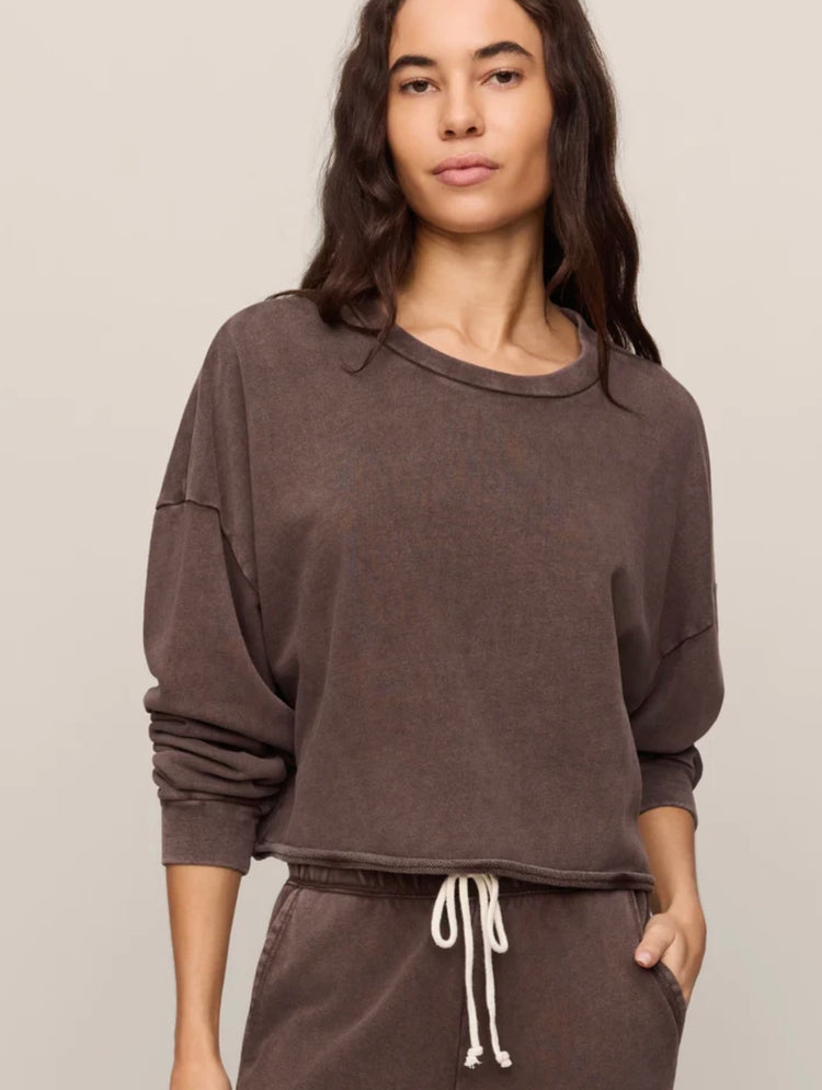 ZT263247 Circuit Sweatshirt- Dark Chocolate