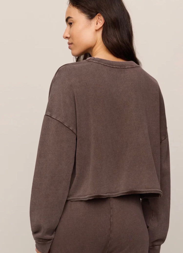 ZT263247 Circuit Sweatshirt- Dark Chocolate