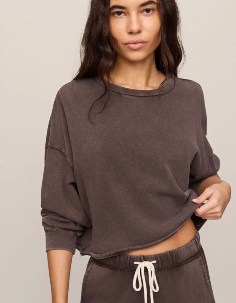 ZT263247 Circuit Sweatshirt- Dark Chocolate