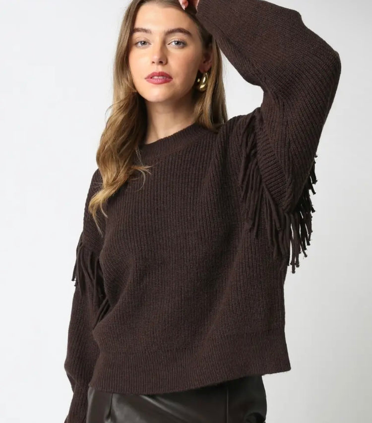 Karli Fringe Knit Sweater