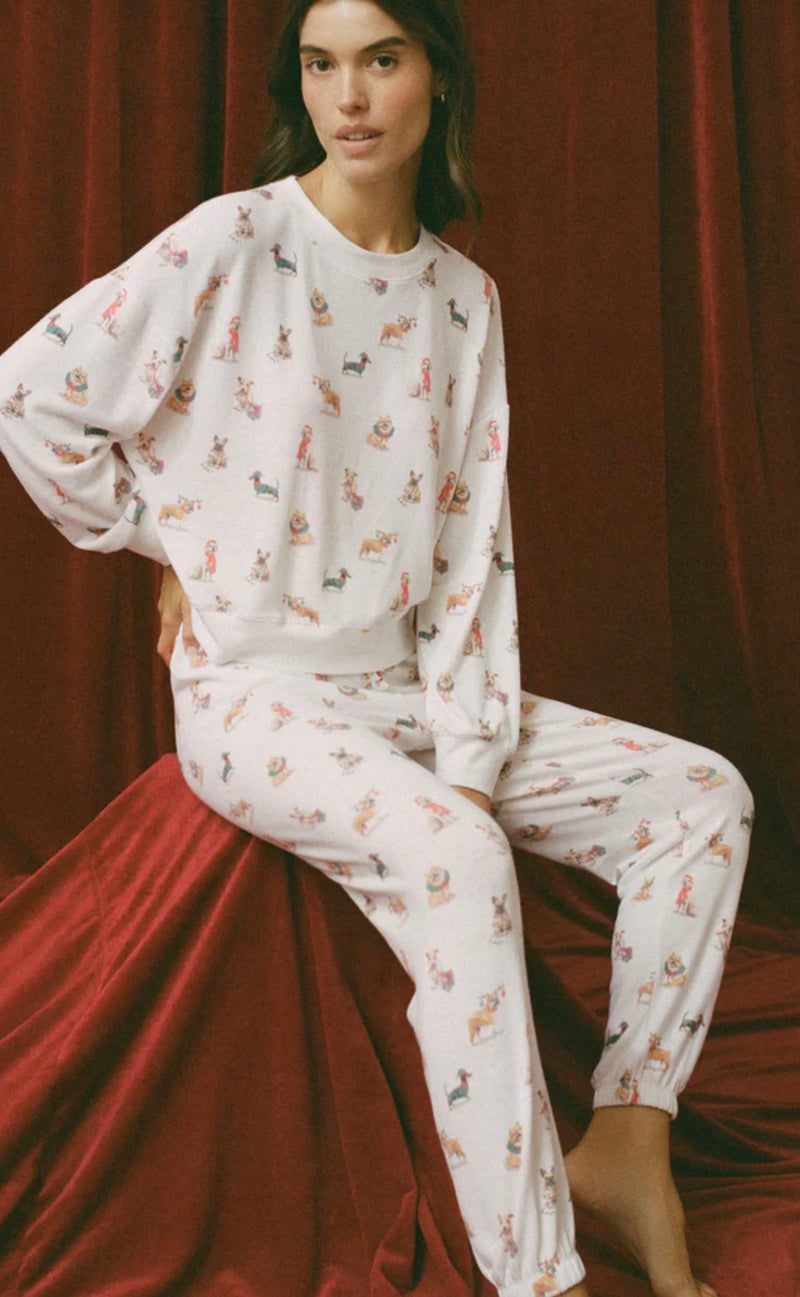 ZLP254728 Classic Pup Jogger