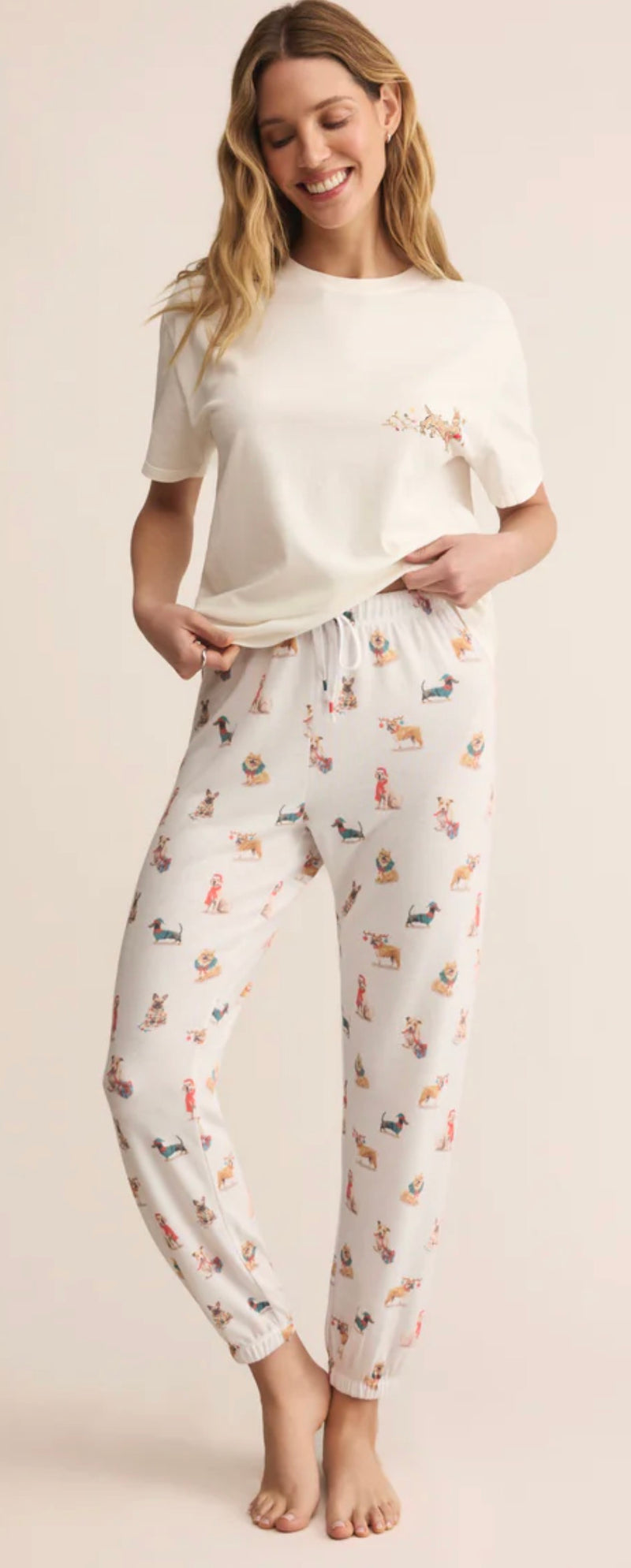 ZLP254728 Classic Pup Jogger