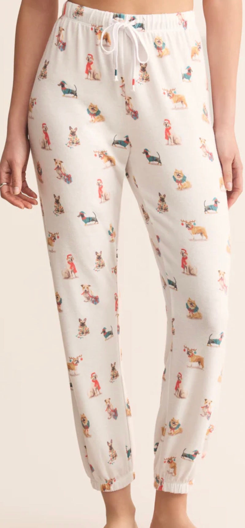 ZLP254728 Classic Pup Jogger