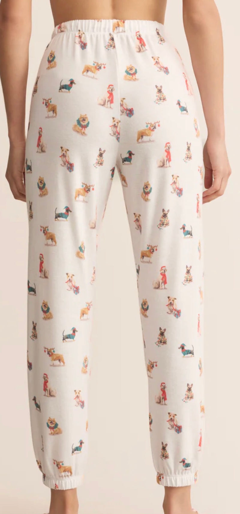 ZLP254728 Classic Pup Jogger